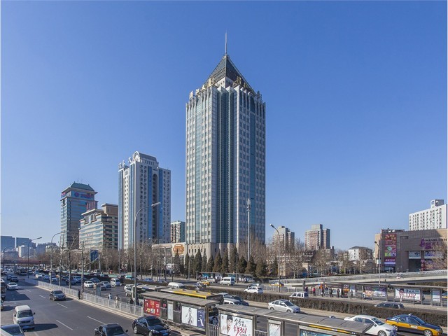 景德镇块状骨炭厂家